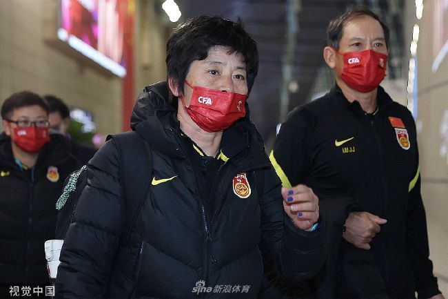国产精品成久久久久三级