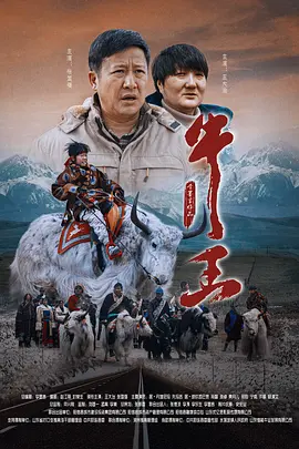 亚洲不卡视频在线观看