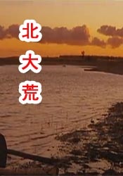 青娱乐91视频