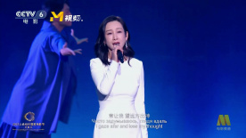 青娱乐伊人